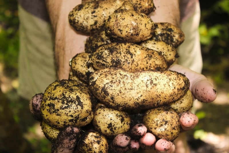 Soil Management